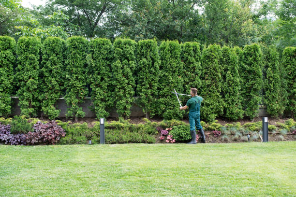 Lawn Pest Prevention in White Meadow Lake, NJ